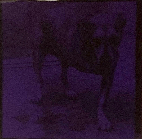 Alice In Chains : Alice In Chains (CD, Album, Pur)
