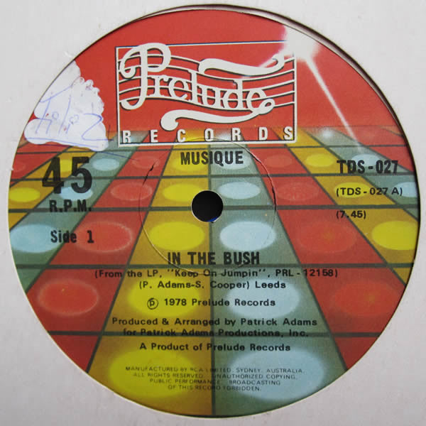 Musique : In The Bush (12")