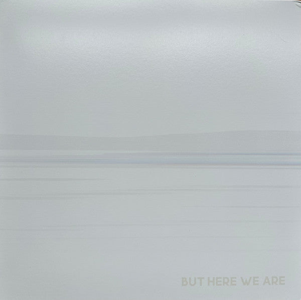 Foo Fighters : But Here We Are (LP, Album, RTI)