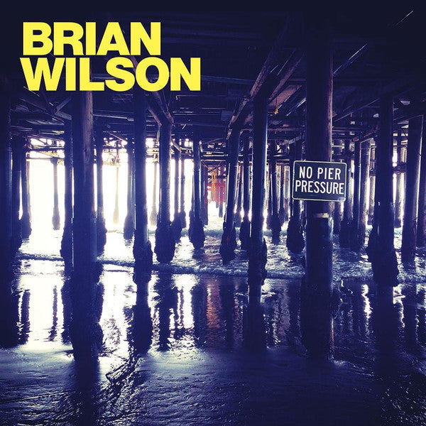 Brian Wilson : No Pier Pressure (2xLP, Album)