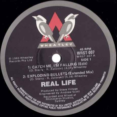Real Life : Catch Me I'm Falling (Extended Mix) (12", Ltd)