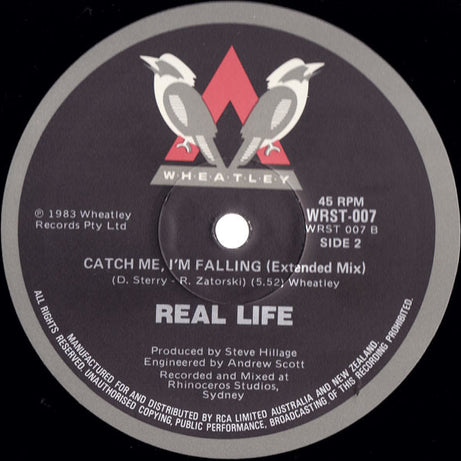 Real Life : Catch Me I'm Falling (Extended Mix) (12", Ltd)