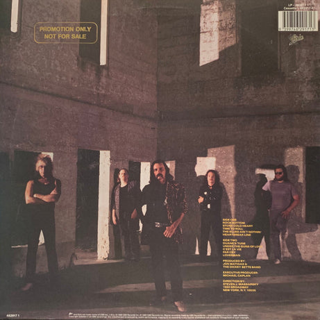 The Dickey Betts Band : Pattern Disruptive (LP, Album)