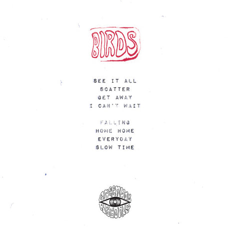 BIRDS (6) : Everything All At Once (LP, Ltd, Pea)