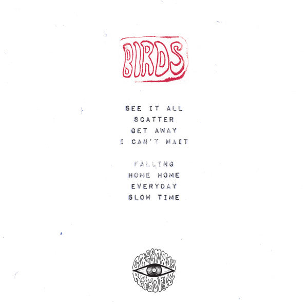 BIRDS (6) : Everything All At Once (LP, Ltd, Pea)