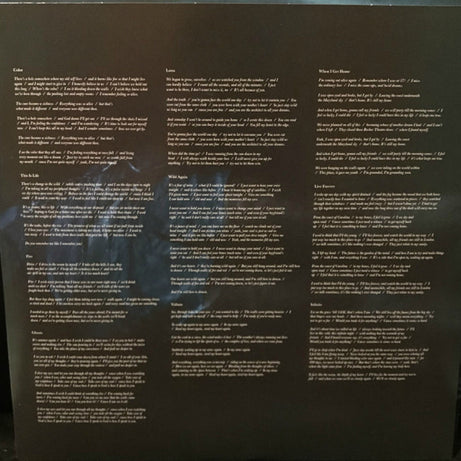 The Dangerous Summer : The Dangerous Summer (LP, Album, Blu)