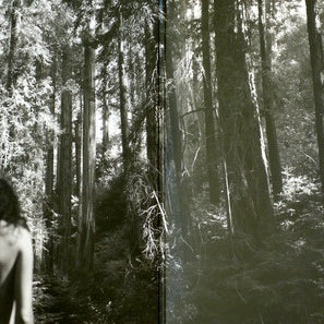 Rhye : Blood (LP, Album)