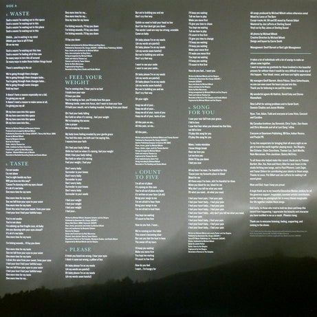 Rhye : Blood (LP, Album)