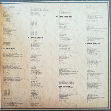 C.W. Stoneking : Gon' Boogaloo (LP, Album)