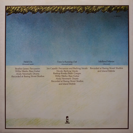 Steve Winwood : Steve Winwood (LP, Album)