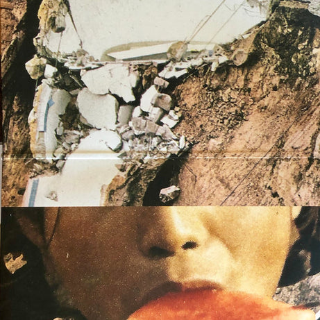 Black Moth Super Rainbow : Panic Blooms (LP + LP, S/Sided, Sil + Album, Ltd, Gol)