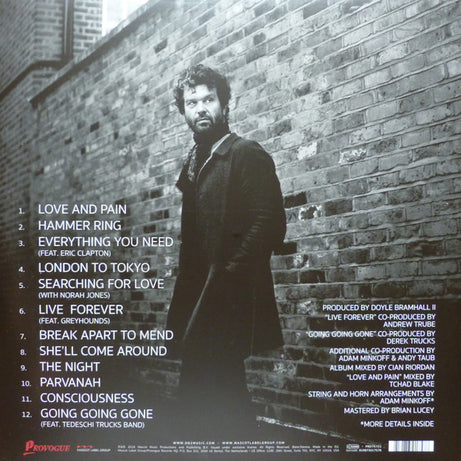 Doyle Bramhall II : Shades (2xLP, Album, Gat)