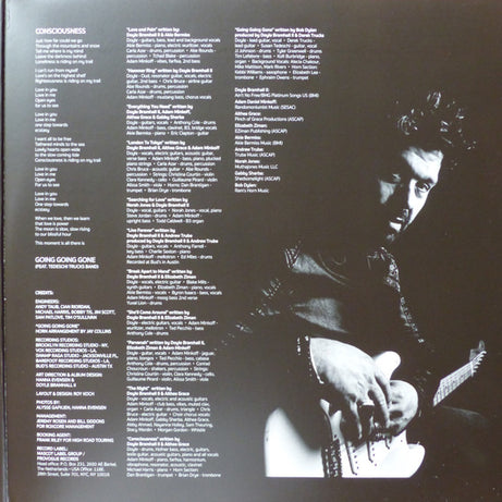 Doyle Bramhall II : Shades (2xLP, Album, Gat)
