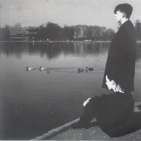 Tears For Fears : The Hurting (LP, Album)