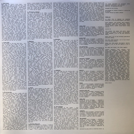 Gang Of Youths : The Positions (2xLP, Album, RE, 180)