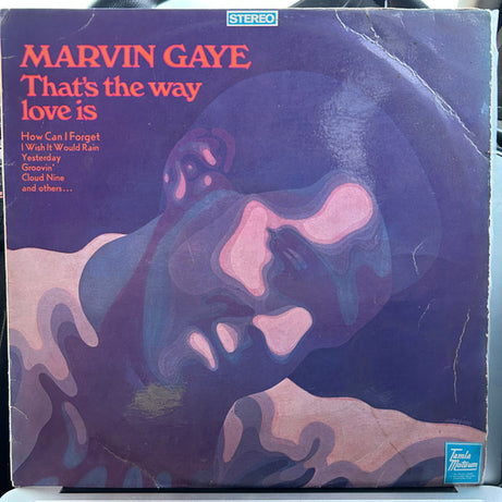 Marvin Gaye : That's The Way Love Is (LP, Album)