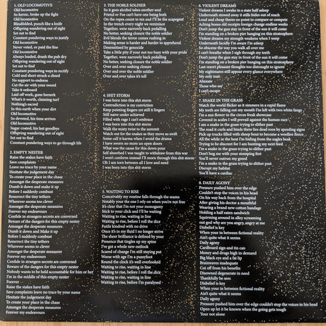 The Murlocs : Old Locomotive (LP, Album, Ltd, RP, Bla)