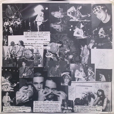 Meat Puppets : Monsters (LP, Album)