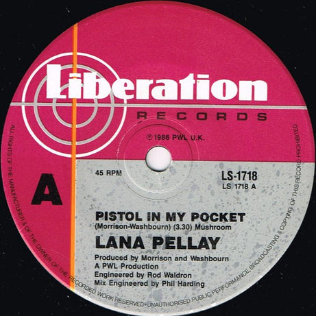Alan Pillay : Pistol In My Pocket (7", Single)