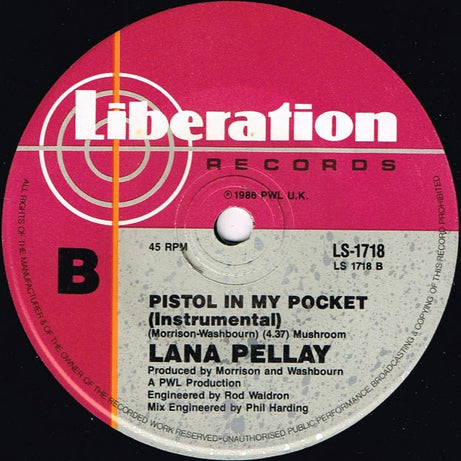 Alan Pillay : Pistol In My Pocket (7", Single)