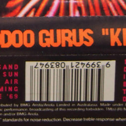 Hoodoo Gurus : Kinky (Cass, Album)