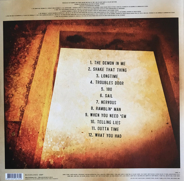 Ash Grunwald : Trouble's Door (LP)