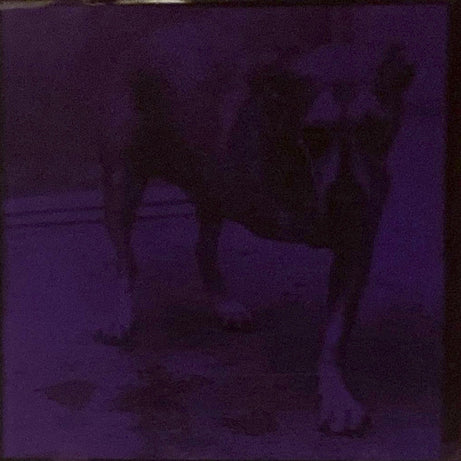 Alice In Chains : Alice In Chains (CD, Album, Pur)