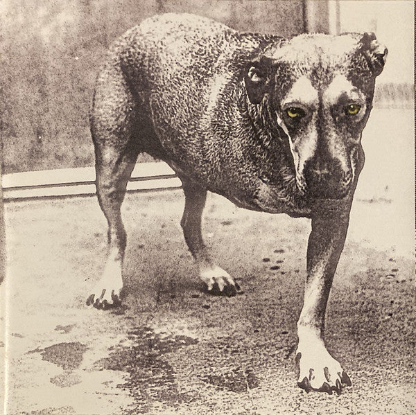 Alice In Chains : Alice In Chains (CD, Album, Pur)