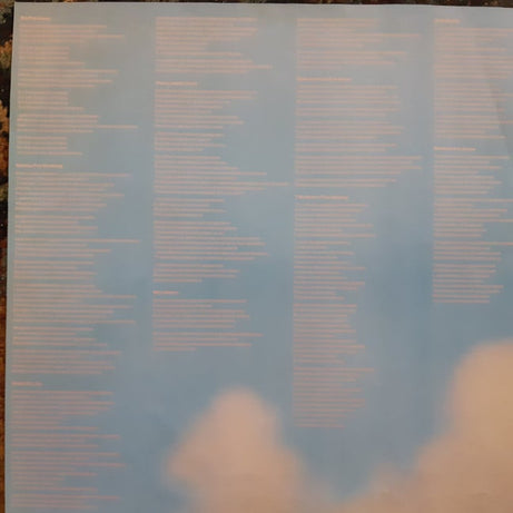 Dire Straits : Brothers In Arms (LP, Album)