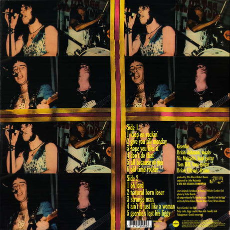 Geordie : Hope You Like It (LP, Album, Ltd, Sil)