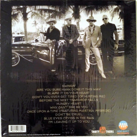 The Mavericks : Play The Hits (LP)