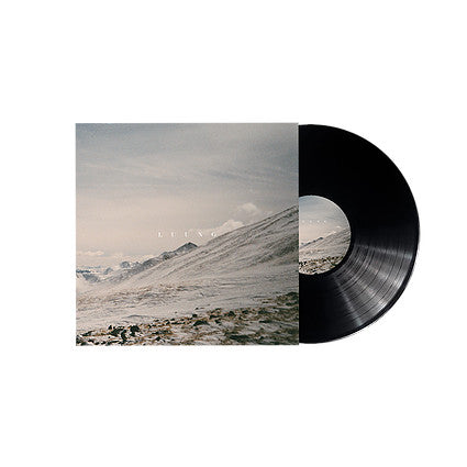 Luung (2) : For When I Find The Words (LP, Album)