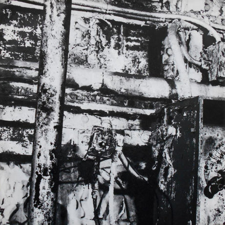 Screaming Trees : Sweet Oblivion (LP, Album)