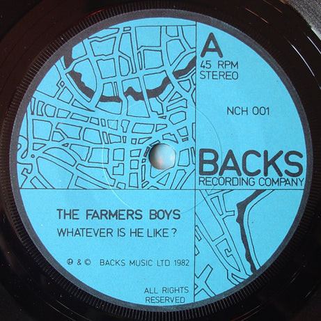The Farmer's Boys : Whatever Is He Like? (7")