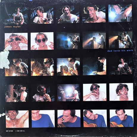 James Taylor (2) : Dad Loves His Work (LP, Album)