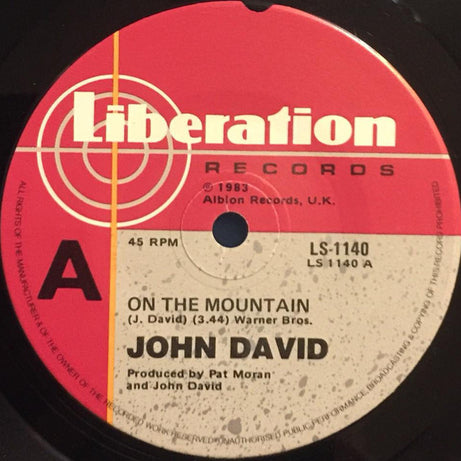 John David : On The Mountain (7", Single)