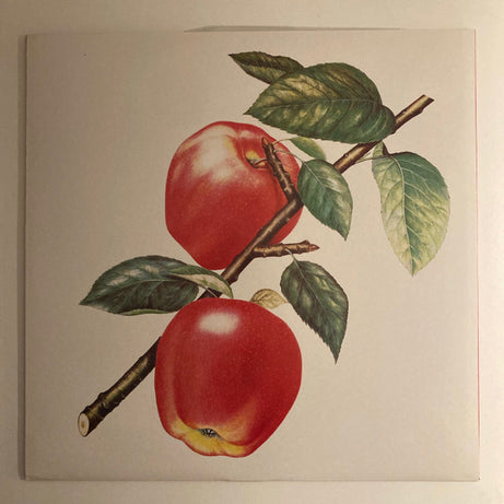 The Rolling Stones : Undercover (LP, Album, RE, RM, Hal)