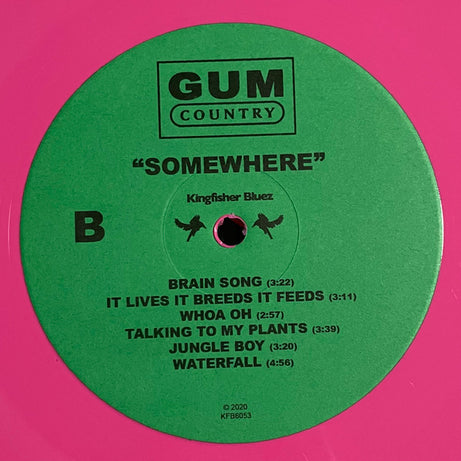 Gum Country : Somewhere (LP, Album, Ltd, Hot)