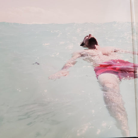 The Avett Brothers : The Gleam III (LP, Album)