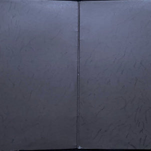 Andrew Lloyd Webber & Tim Rice : Jesus Christ Superstar (2xLP, Album, RP)