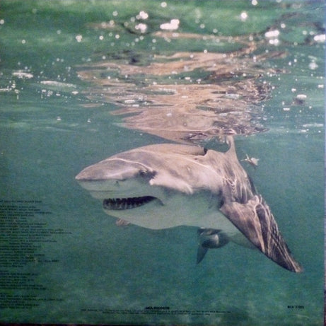 Jimmy Buffett : Living And Dying In 3/4 Time (LP, Album, RE)