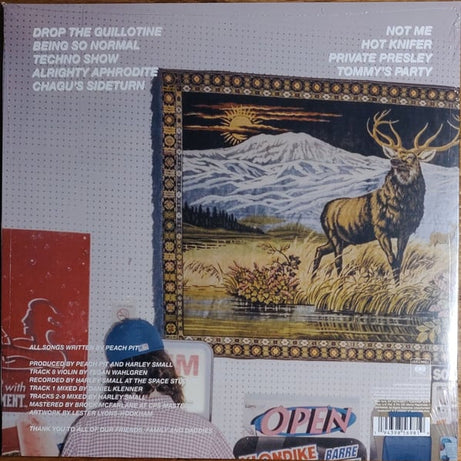 Peach Pit (3) : Being So Normal (LP, Album, RE)