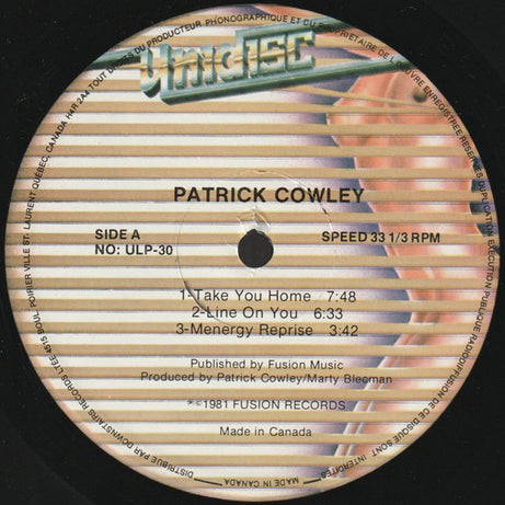 Patrick Cowley : Menergy (LP, Album)