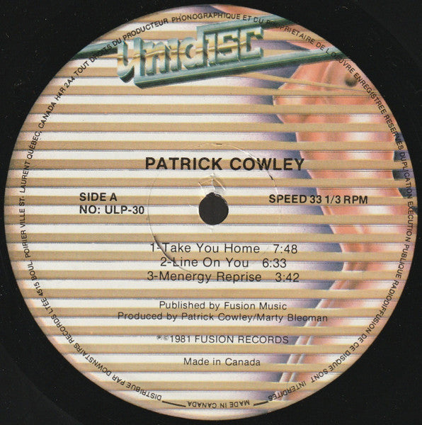 Patrick Cowley : Menergy (LP, Album)