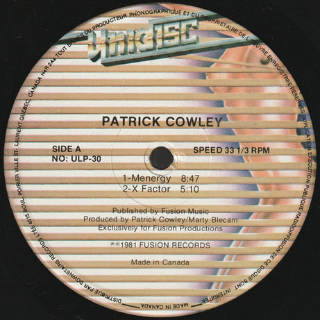 Patrick Cowley : Menergy (LP, Album)