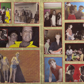 Australian Crawl : The Final Wave (LP, Album, Gat)