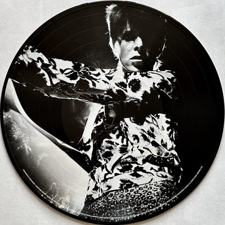 David Bowie : The Man Who Sold The World (LP, Album, Pic, RE)