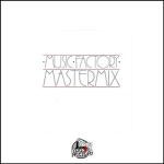 Various : Music Factory Mastermix - Issue No. 29 (2x12")