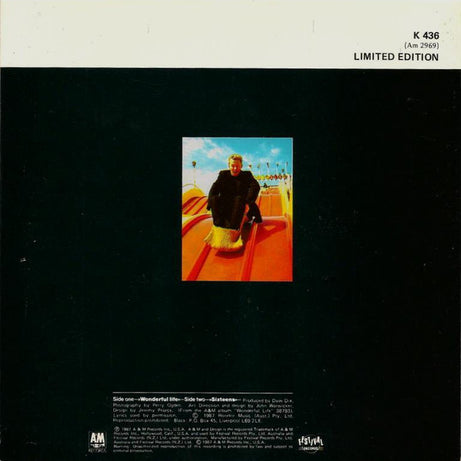 Black (2) : Wonderful Life (7", Single, Ltd)