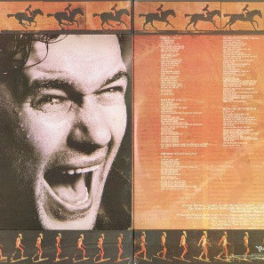 Jimmy Barnes : Bodyswerve (LP, Album)